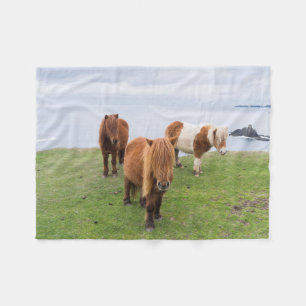 Shetlandponny på betesmark nära höga klippor fleecefilt