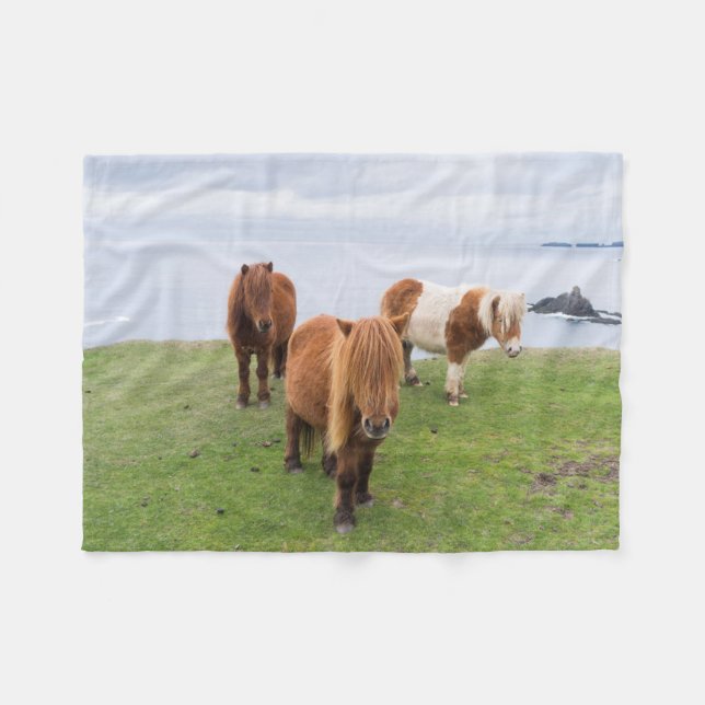 Shetlandponny på betesmark nära höga klippor fleecefilt (Framsidan (Horisontell))