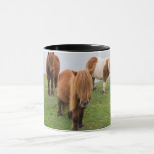 Shetlandponny på betesmark nära höga klippor mugg