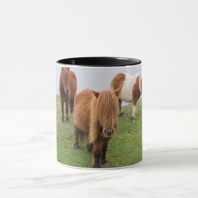 Shetlandponny på betesmark nära höga klippor mugg (Center)