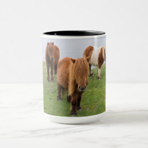 Shetlandponny på betesmark nära höga klippor mugg