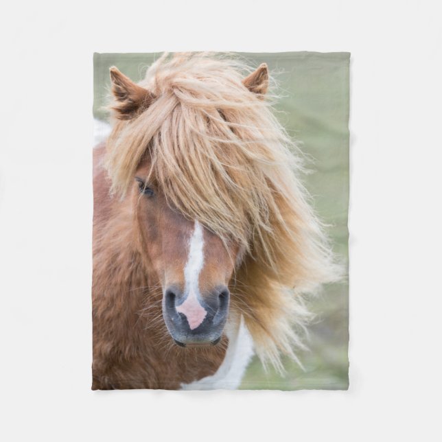 Shetlandponny på ön Unst Fleecefilt (Framsidan)