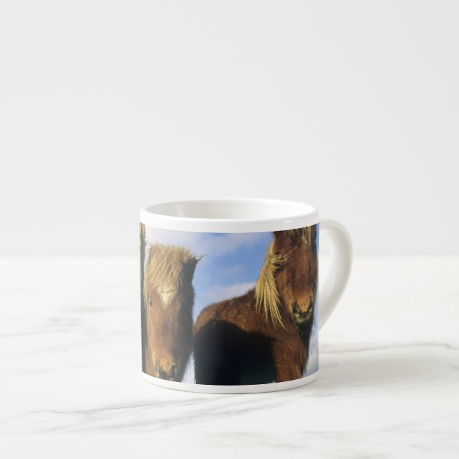 Shetlandponny, Shetlandsöarna fastland  Espressomugg (Framsida höger)