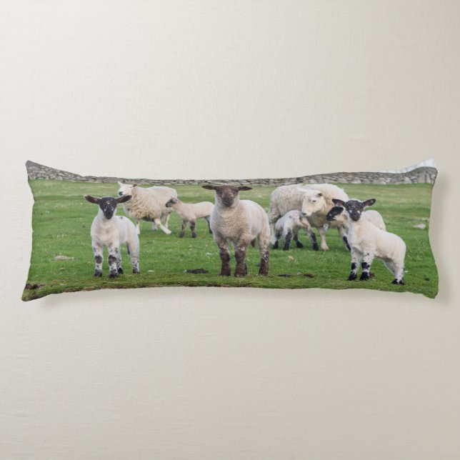 Shetlandsfår Kroppskudde (Framsidan)