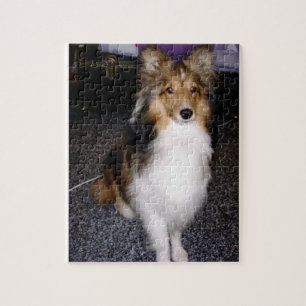 shetlandsheepdog sitta 2 pussel