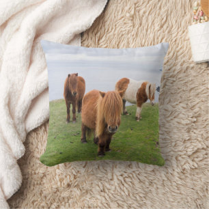 Shetlandsponny på betesmark nära höga klippor kudde