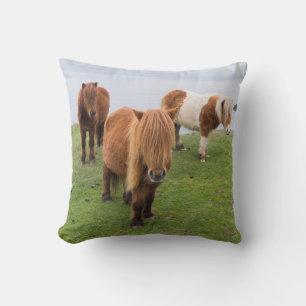 Shetlandsponny på betesmark nära höga klippor kudde