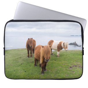 Shetlandsponny på betesmark nära höga klippor laptop fodral
