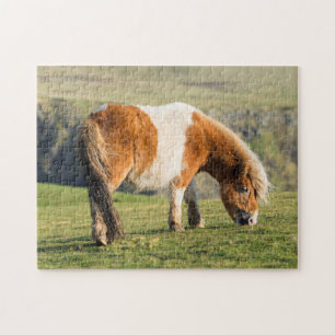 Shetlandsponny på betesmark nära höga klippor pussel