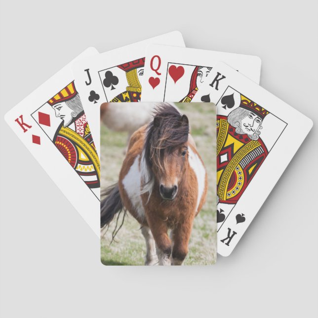 Shetlandsponny, Shetlandsöarna Spel Kort (Baksidan)