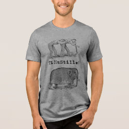 "shhh..." T-shirt grå