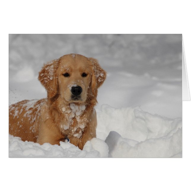 Shhhh snö! hälsningskort (Framsidan Horizontal)