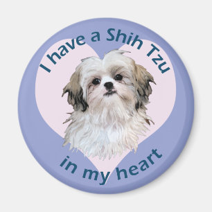 Shi Tzu i mitt hjärta Magnet