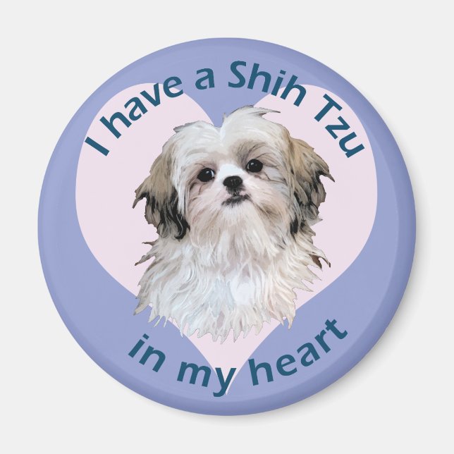 Shi Tzu i mitt hjärta Magnet (Framsidan)