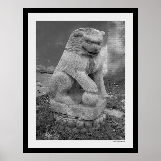 Shi Zi-utskrift Poster (Framsidan)