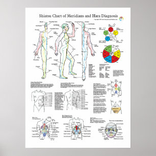 Shiatsu Acupuncture Meridians och Hara Diagnosis Poster