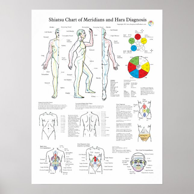Shiatsu Acupuncture Meridians och Hara Diagnosis Poster (Framsidan)