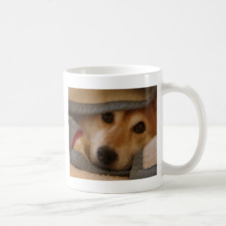 Shiba i en filtmugg kaffemugg