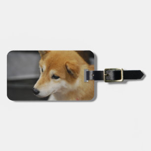 shiba-inu-2.jpg bagagebricka