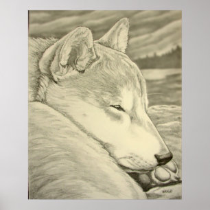 Shiba Inu Art Poster Hund Art Poster Shiba Inu Gif