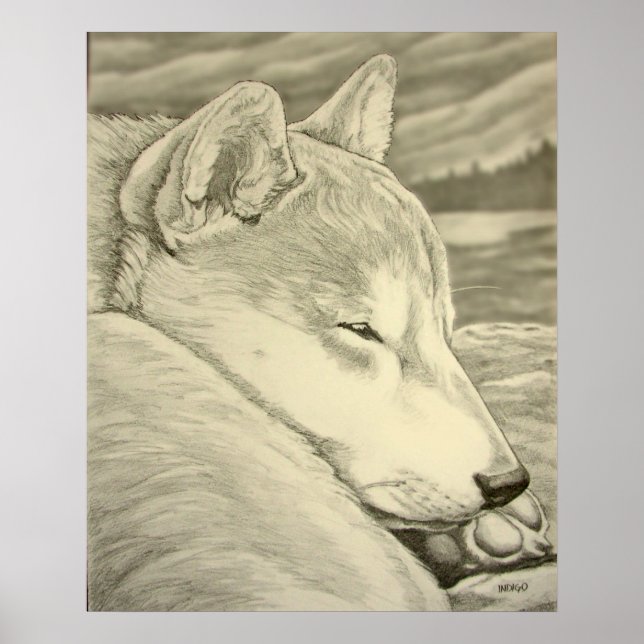 Shiba Inu Art Poster Hund Art Poster Shiba Inu Gif (Framsidan)
