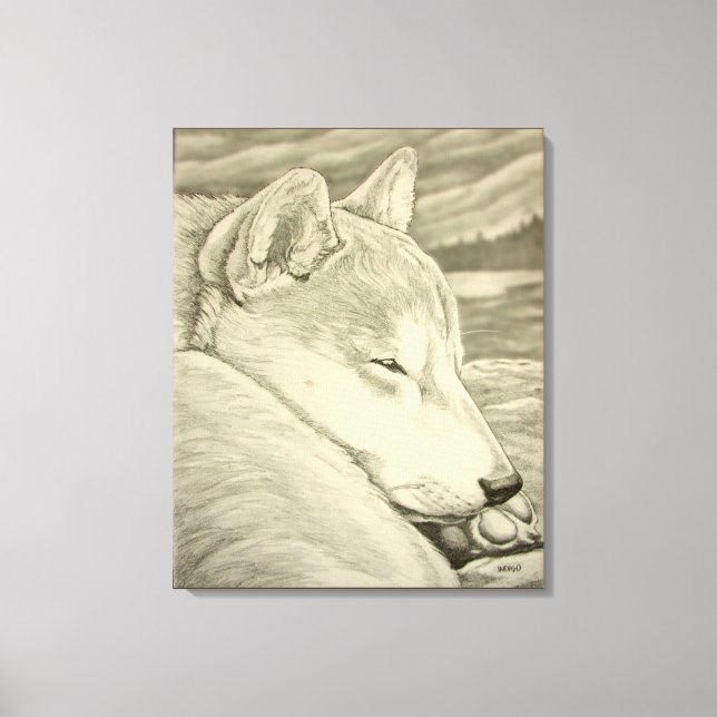 Shiba Inu Art Print Stretched Shiba Inu Art Canvas (Framsida)