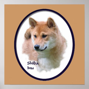 Shiba Inu Art Skriv ut Poster