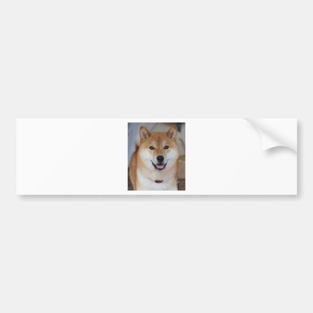 Shiba inu bildekal (Framsidan)