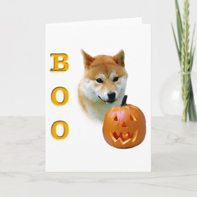 Shiba Inu bu Kort (Framsida)