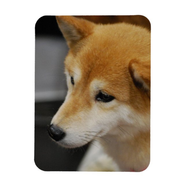 Shiba Inu Flexible Magnet (Vertikal)