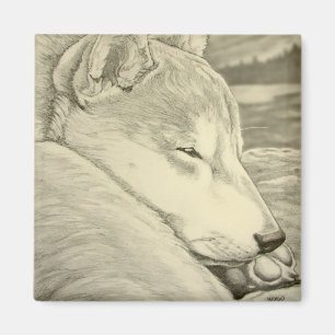 Shiba Inu Fridge Magnet Husky Hund Magnet Gift