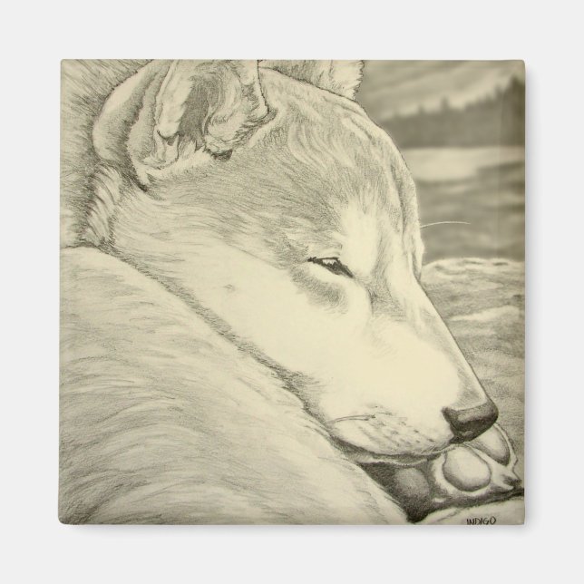 Shiba Inu Fridge Magnet Husky Hund Magnet Gift (Framsidan)