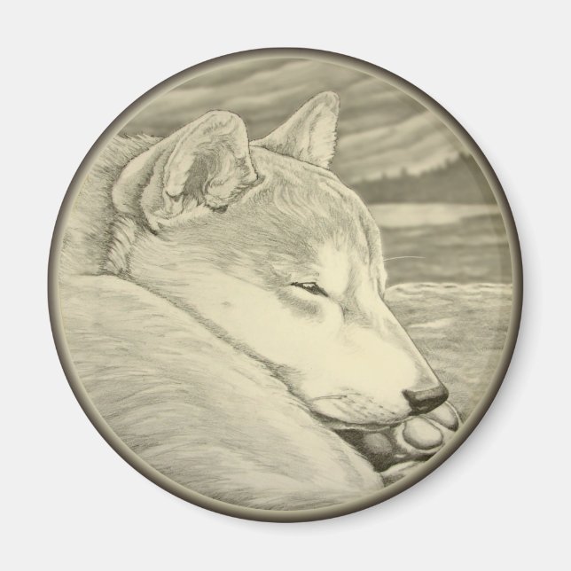 Shiba Inu Fridge Magnet Shiba Inu Hund Magnet Gift (Framsidan)