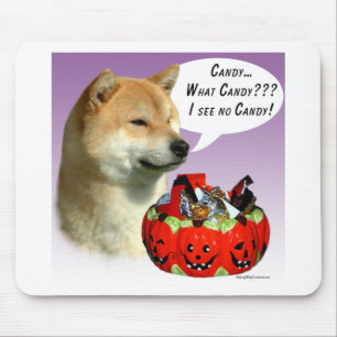 Shiba Inu Halloween Candy Musmatta