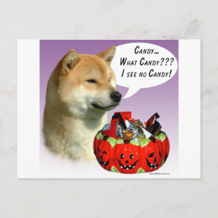 Shiba Inu Halloween Candy Vykort
