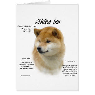 Shiba Inu Historik Hälsningskort