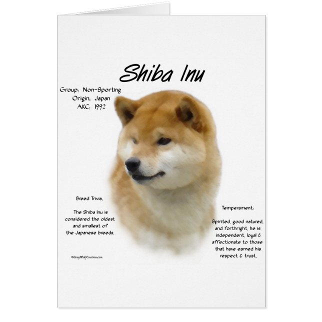 Shiba Inu Historik Hälsningskort (Framsidan)