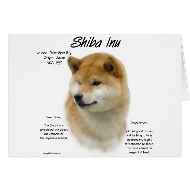 Shiba Inu Historik Hälsningskort (Framsidan Horizontal)