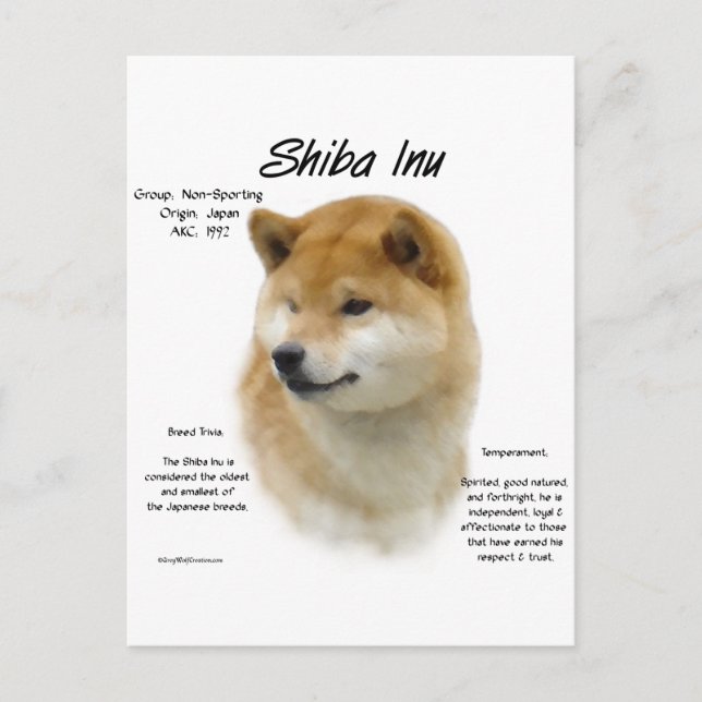 Shiba Inu Historik Vykort (Framsida)