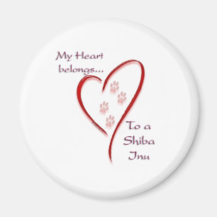 Shiba Inu hjärtatillhör Magnet
