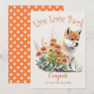 Shiba Inu Hund Adoption, Gotcha Day Kort