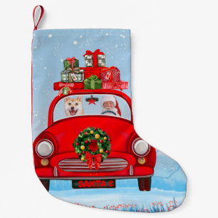 Shiba Inu Hund i bil med Jultomten Liten Julstrumpa