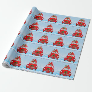 Shiba Inu Hund i bil med Jultomten Presentpapper