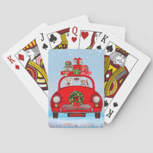 Shiba Inu Hund I Bil Med Tomte Casinokort
