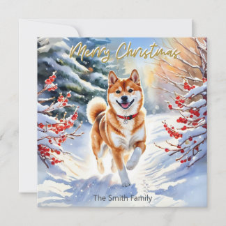 Shiba Inu Hund I Snö God Jul Julkort