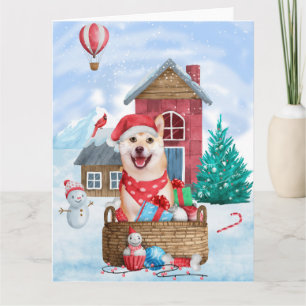 Shiba Inu Hund I snö Jul Hund Hus Kort