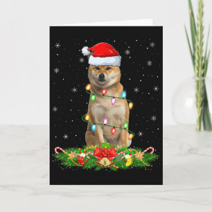 Shiba Inu Hund Julbelysning Rolig Julhatt Xma Kort