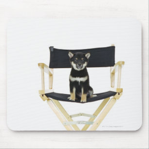 Shiba Inu hund på direktör stol Musmatta