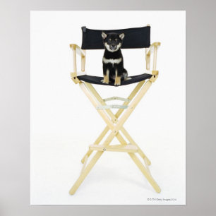Shiba Inu hund på direktör stol Poster