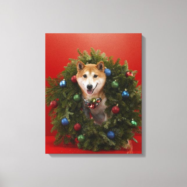 Shiba Inu hund sitta i julfransen Canvastryck (Framsida)